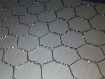 六角擰花網(wǎng)