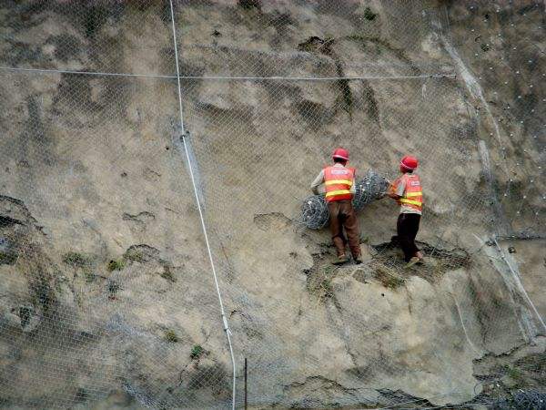 落石防護(hù)網(wǎng)對(duì)植被的作用