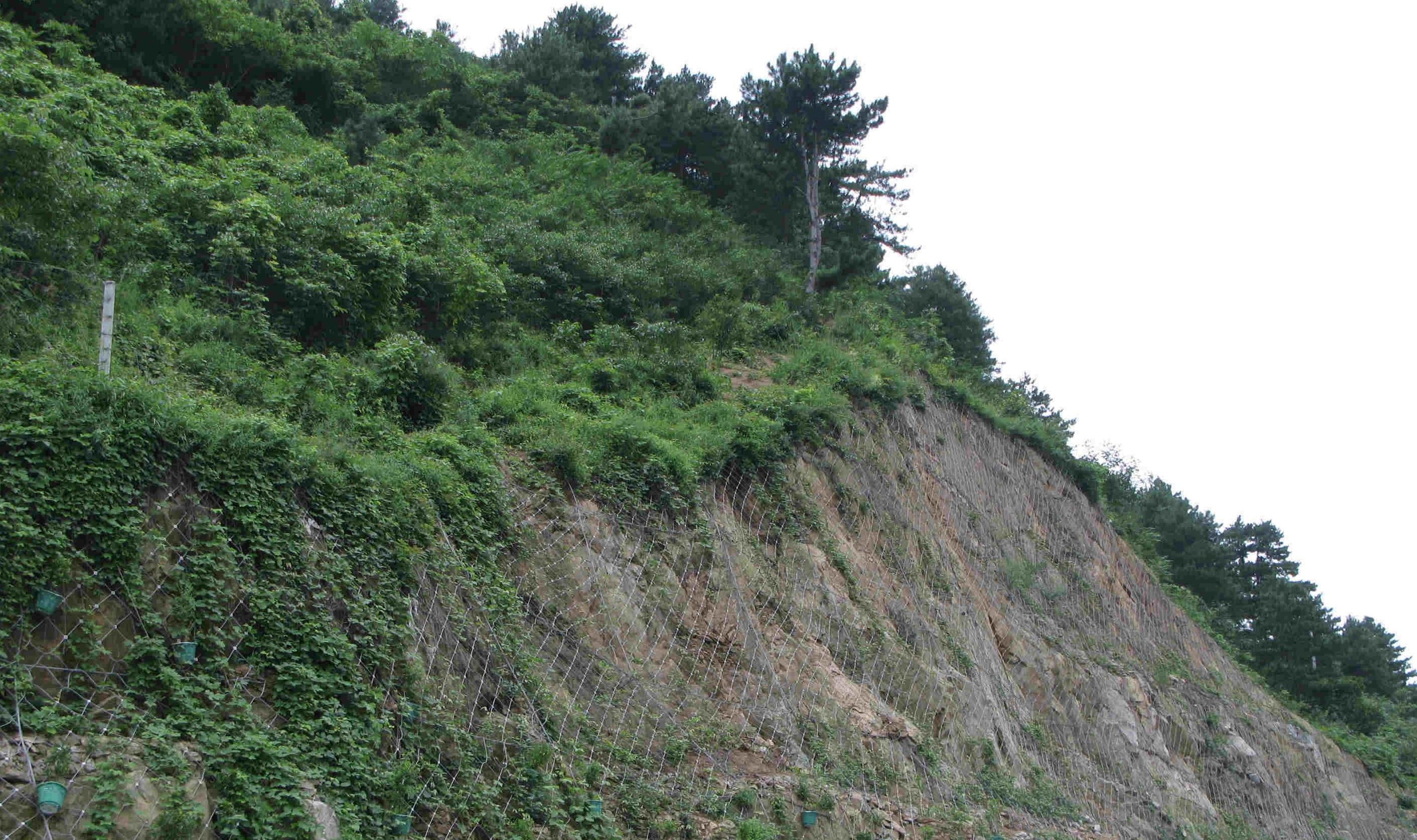 落石防護網(wǎng)的實用性有哪些